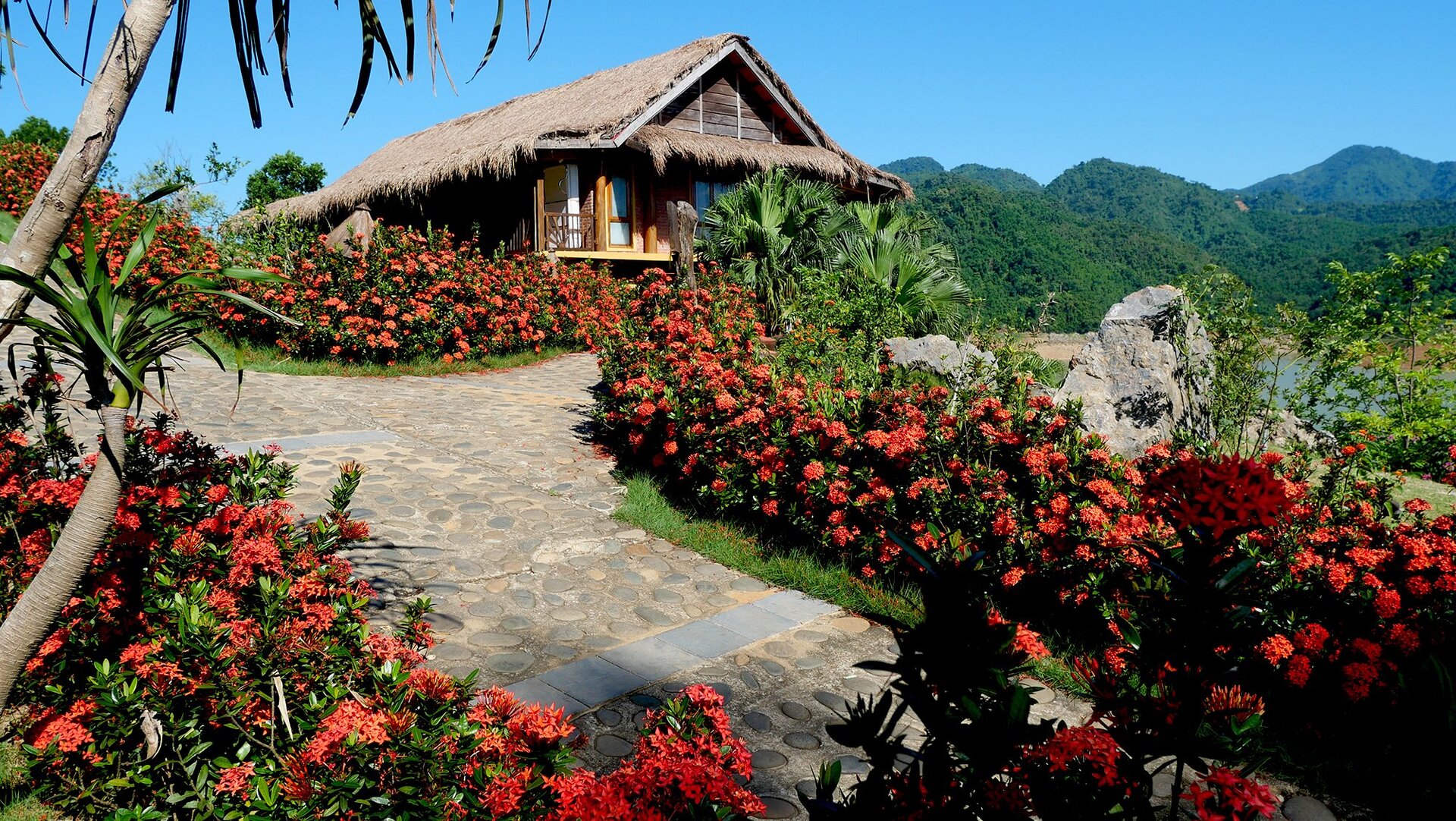 Mai Chau Hideaway thông báo mở cửa đón khách trở lại từ ngày 25/09/2021