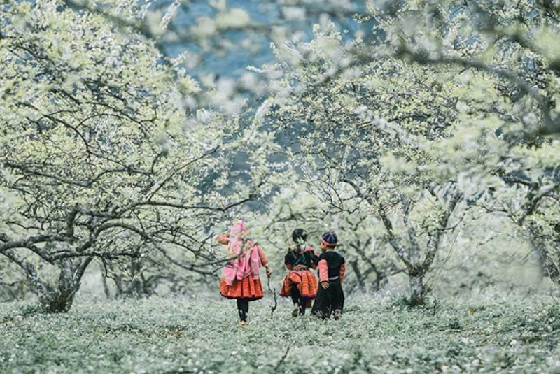 Mai Chau is beautiful in its own way every season