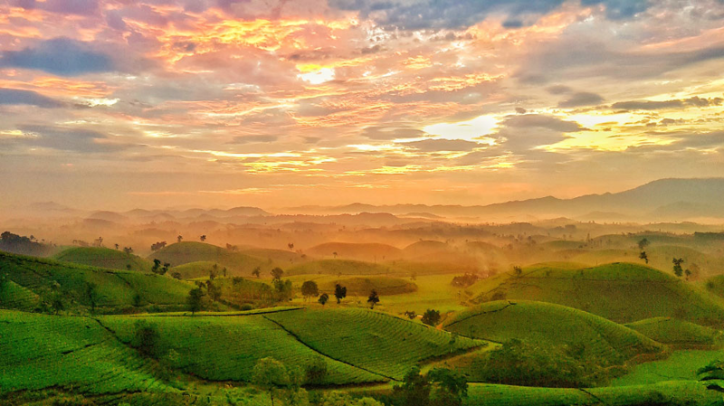 Du lịch Phú Thọ có gì? Những điểm đến, lễ hội và trải nghiệm nhất định phải thử