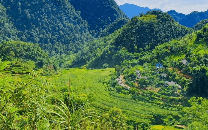 Khám phá khu bảo tồn thiên nhiên Pù Luông - Bức tranh thiên nhiên sống động