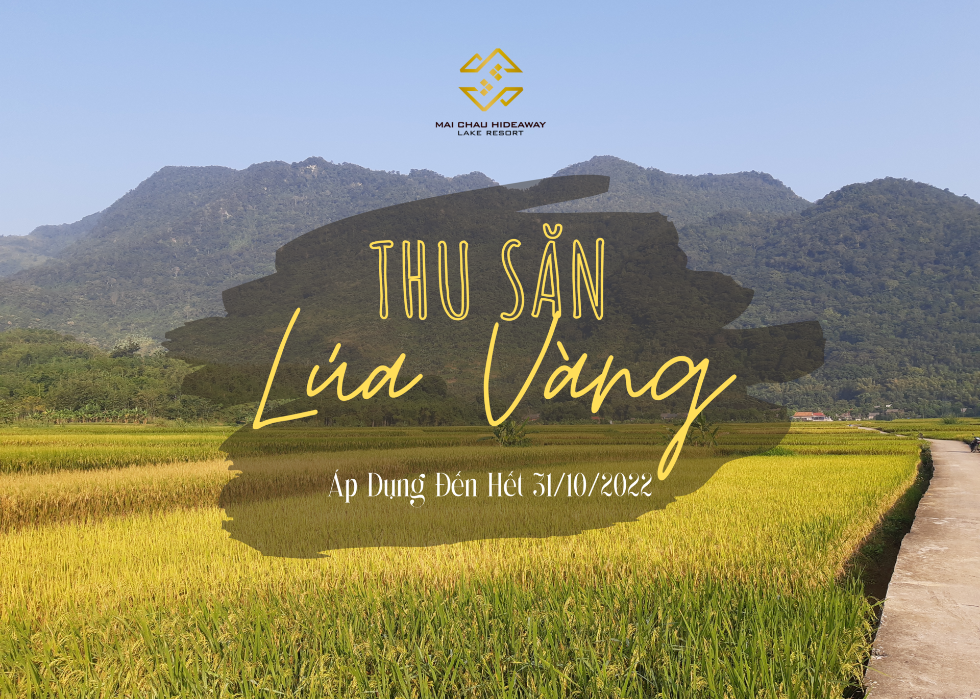 "THU SĂN LÚA VÀNG" CÙNG MAI CHAU HIDEAWAY