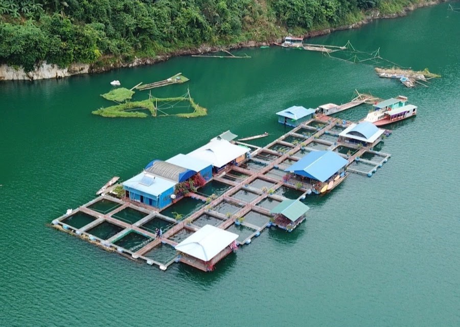 Sau bữa sáng tại resort từ 7h30 đến 8h30, du khách di chuyển bằng ô tô khoảng 6 km đến khu vực nhà bè và trại cá Sau bữa sáng tại resort từ 7h30 đến 8h30, du khách di chuyển bằng ô tô khoảng 6 km đến khu vực nhà bè và trại cá