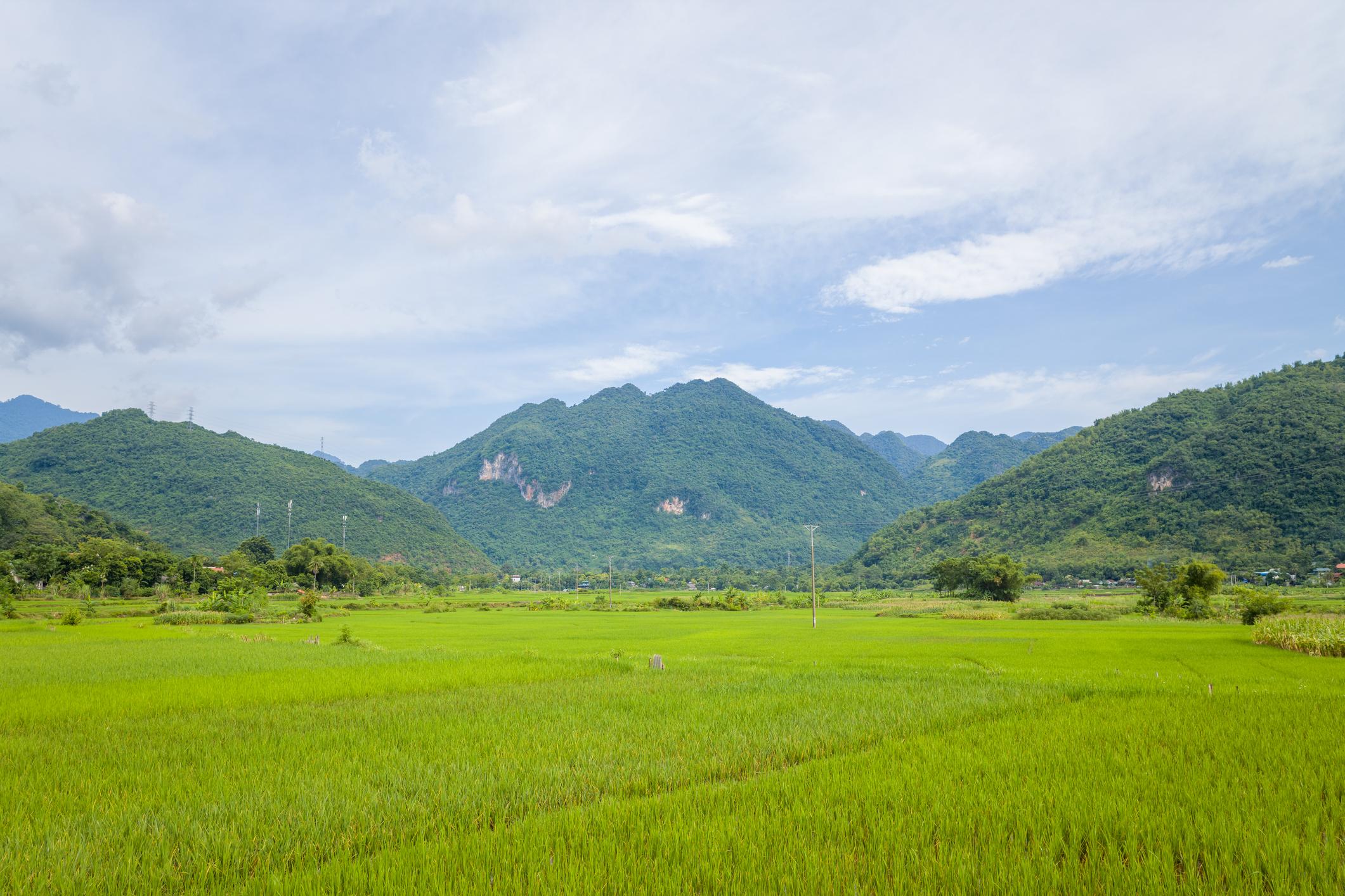 Misty mountains and rice fields in Mai Chau Valley, Hoa Binh Province, Vietnam