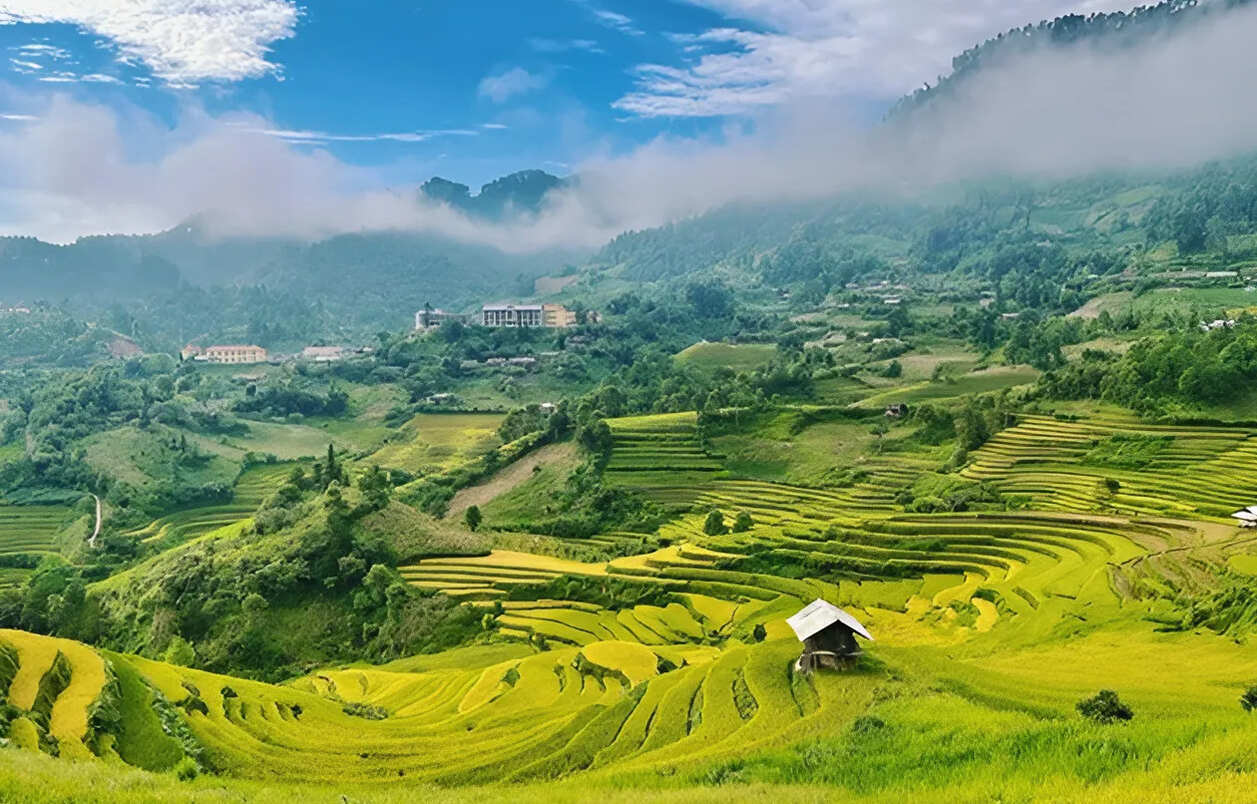 Rice terraces around Kho Muong turn golden between September and October, the best time to visit (Source: Bao Lao Dong)