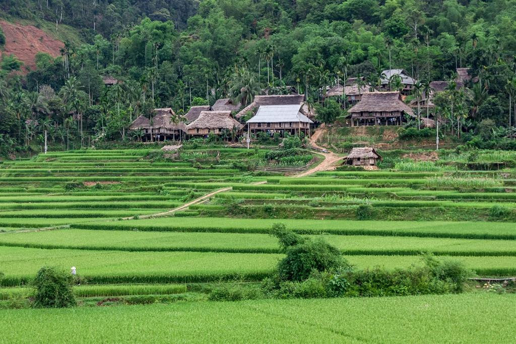 Traditional stilt houses in one of the Muong villages near Kho Muong, including Pon, Thanh Cong, Cao Hoong, and Kit (Source: moitruongxaydungvn.vn)