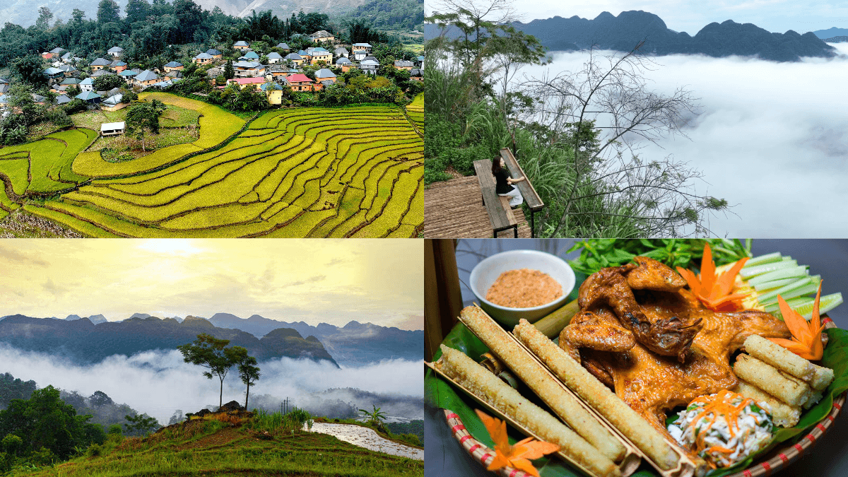 Experience cloud hunting, rice terraces, and local flavours in Son Ba Muoi (Source: Collected) 
