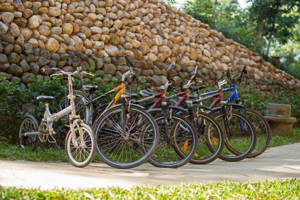 Bicycles available on-site for convenient local exploration