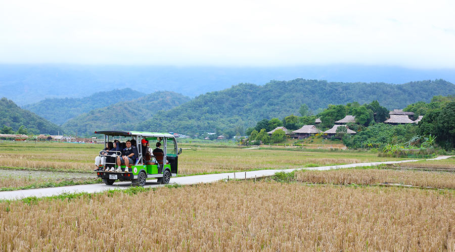 The Peaceful Beauty of the Countryside in Lac Village (Source: Vietnam National Authority of Tourism) 