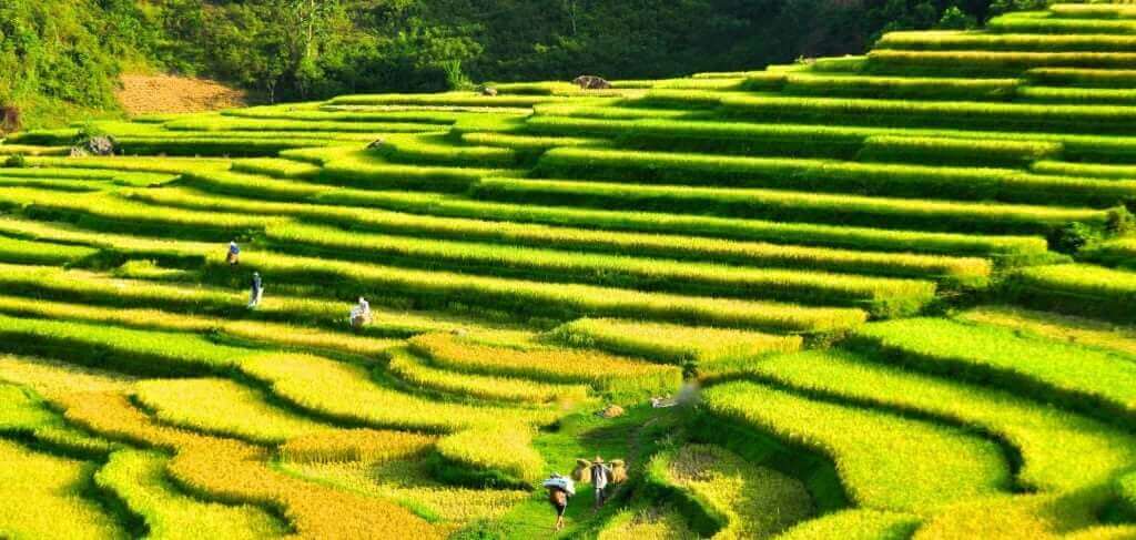 Đi bộ qua bản làng và ruộng bậc thang