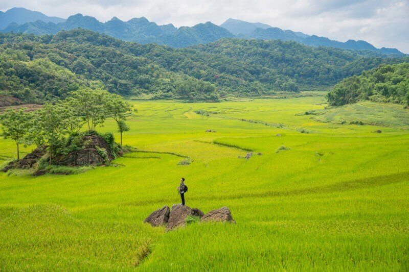 Thời điểm đẹp nhất để đến Bản Bút Thanh Hoá 