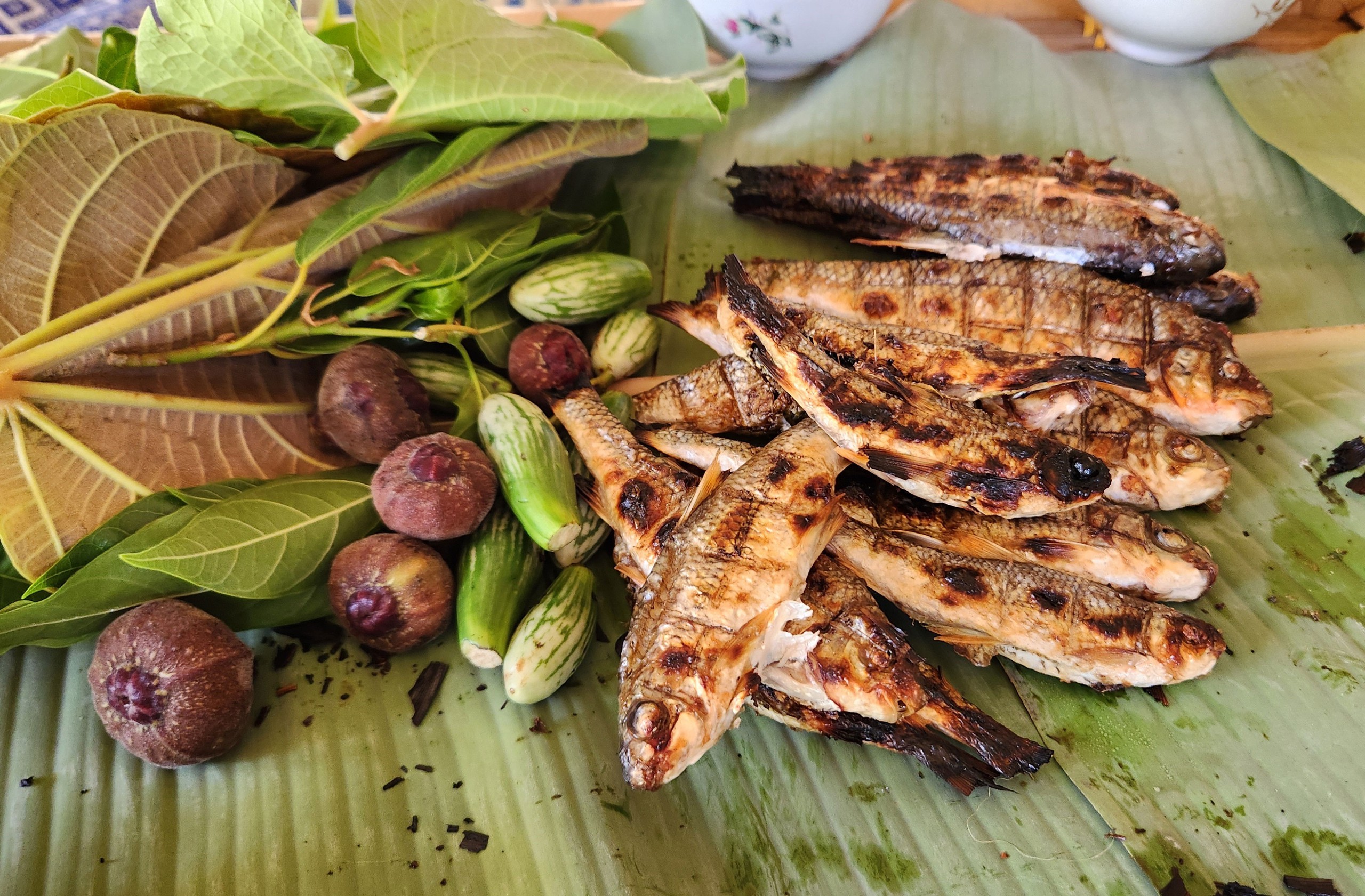 Charcoal-grilled stream fish with golden, crisp skin and naturally sweet, tender flesh (Source: Tuoi Tre Newspaper)