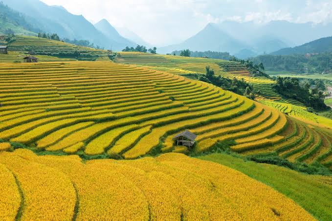 Thời điểm đẹp nhất để khám phá bản Mường Giang Mỗ Thời điểm đẹp nhất để khám phá bản Mường Giang Mỗ