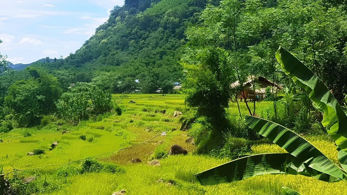 Bản Hang - góc nhỏ thanh bình giữa thung lũng Pù Luông (Nguồn: Báo Thanh Hoá)
