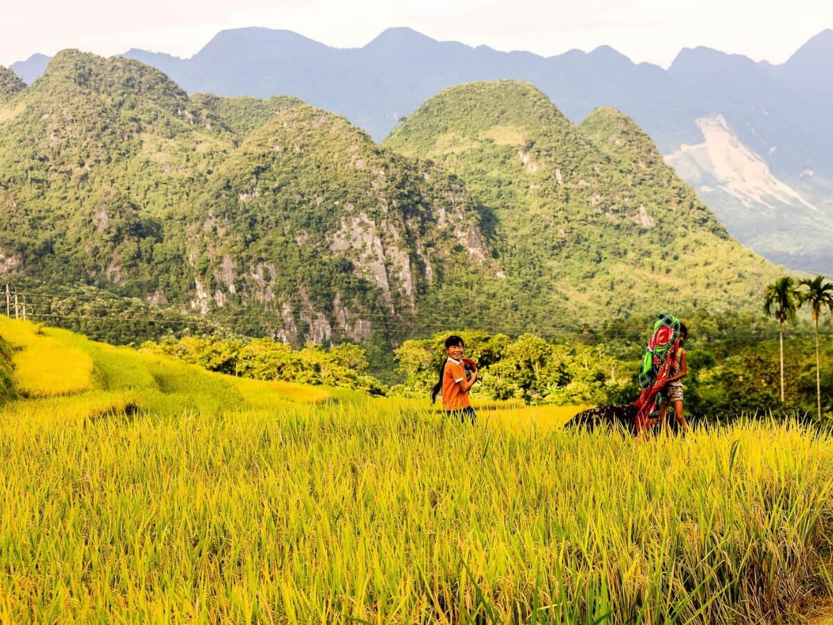 Vẻ đẹp nguyên sơ, bình yên khiến ai ghé Bản Kén cũng muốn chậm lại một nhịp (Nguồn: Sưu tầm)