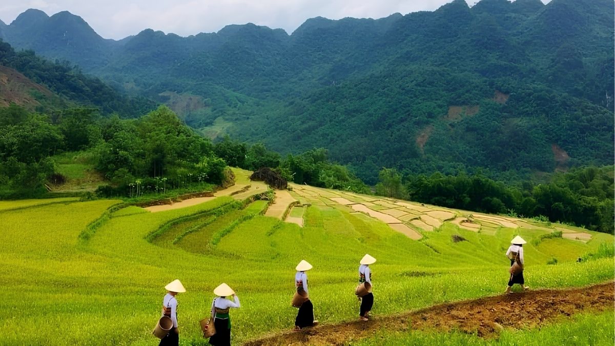 Nhịp sống lao động bình dị của người dân bản địa giữa không gian bao la của núi rừng (Nguồn: VnEconomy)
