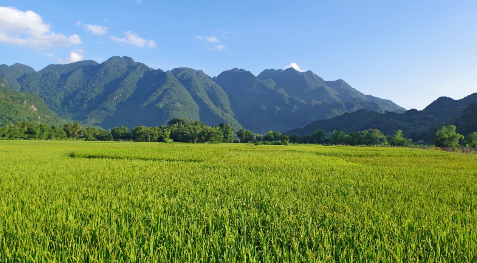 Giới thiệu về bản Lác Mai Châu