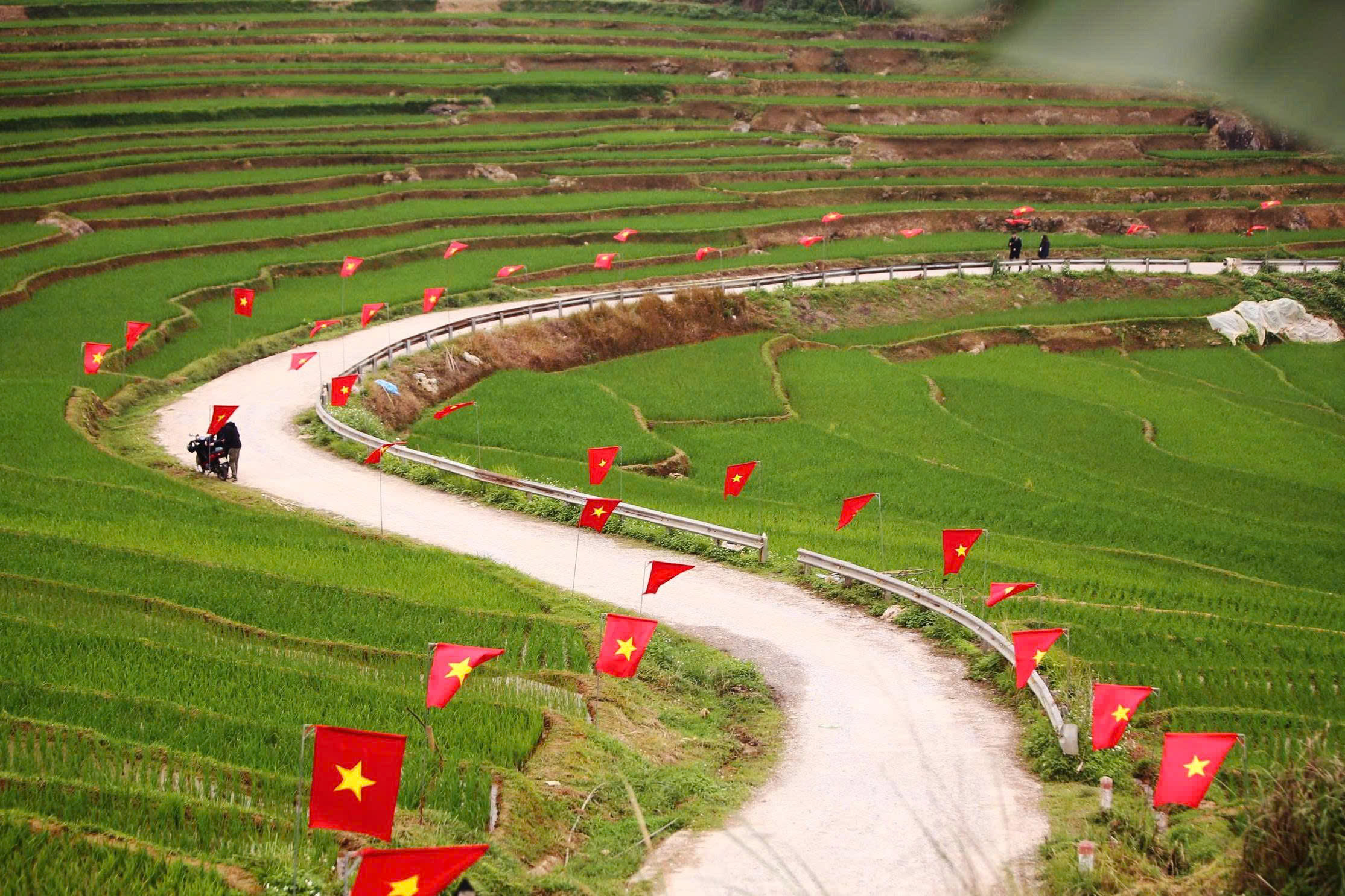 The scenic S-shaped road adorned with national flags winding through vibrant green rice terraces in Ban Don, Pu Luong (Source: Bao Tuoi Tre) The scenic S-shaped road adorned with national flags winding through vibrant green rice terraces in Ban Don, Pu Luong (Source: Bao Tuoi Tre)