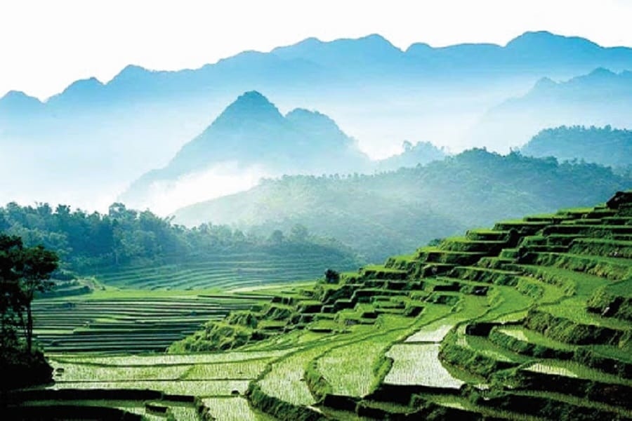 The untouched beauty of misty mountain peaks and sprawling terraced fields in the heart of Pu Luong (Source: VNAT) The untouched beauty of misty mountain peaks and sprawling terraced fields in the heart of Pu Luong (Source: VNAT)