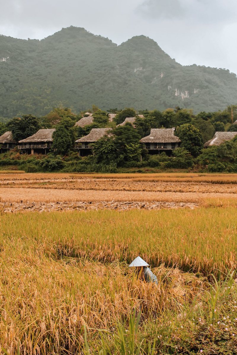 Mai Châu màu nâu và màu sương vào Tết