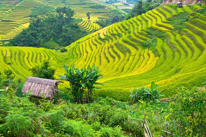 Lên kế hoạch cho chuyến du lịch Mai Châu