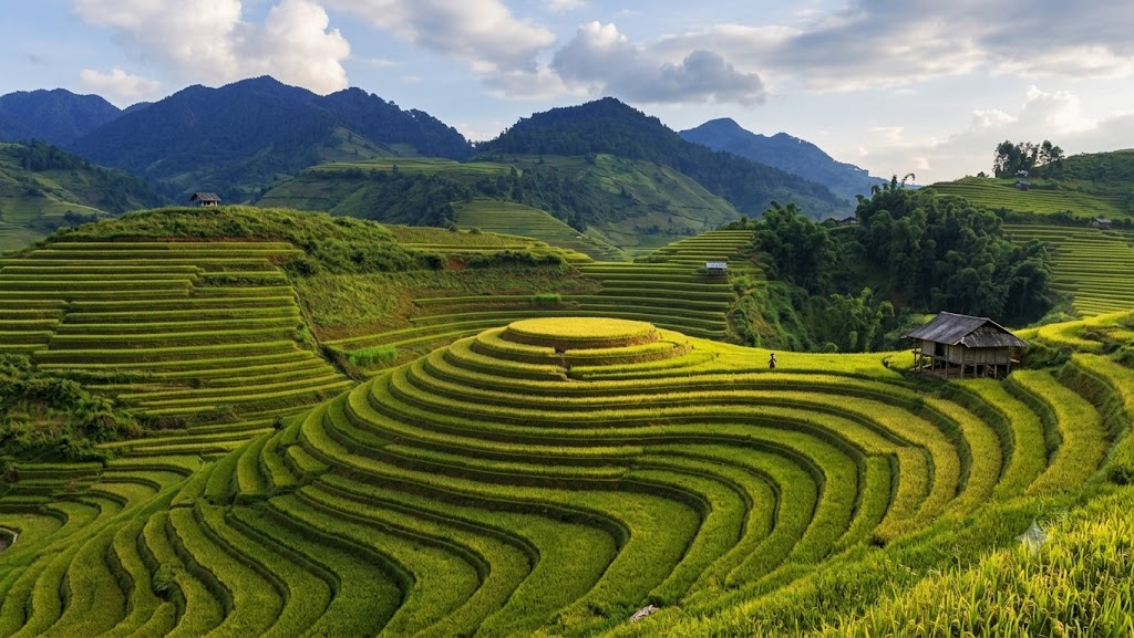 Mai Chau Pu Luong (Source: Collected)