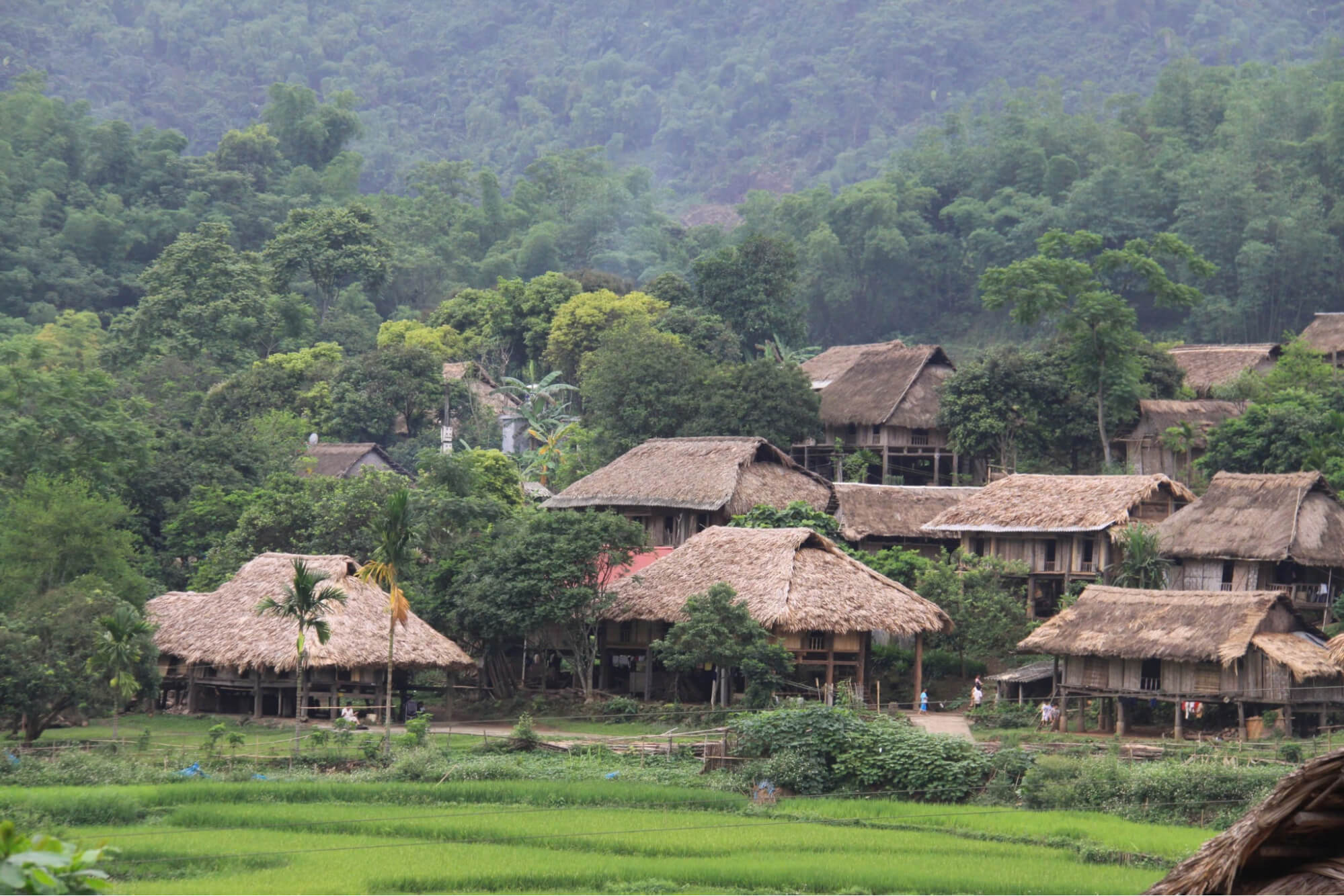 Bản Giang Mỗ là điểm đến hấp dẫn cho những ai muốn tìm hiểu văn hóa người Mường