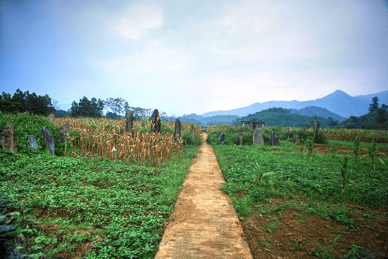 Đường đi đến khu vực mộ cổ (Nguồn: Ivivu)