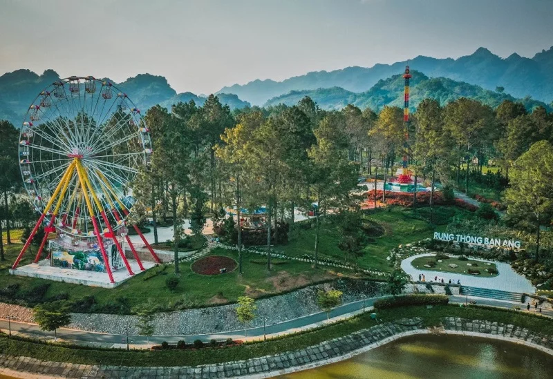 Di chuyển đến rừng thông Bản Áng Di chuyển đến rừng thông Bản Áng