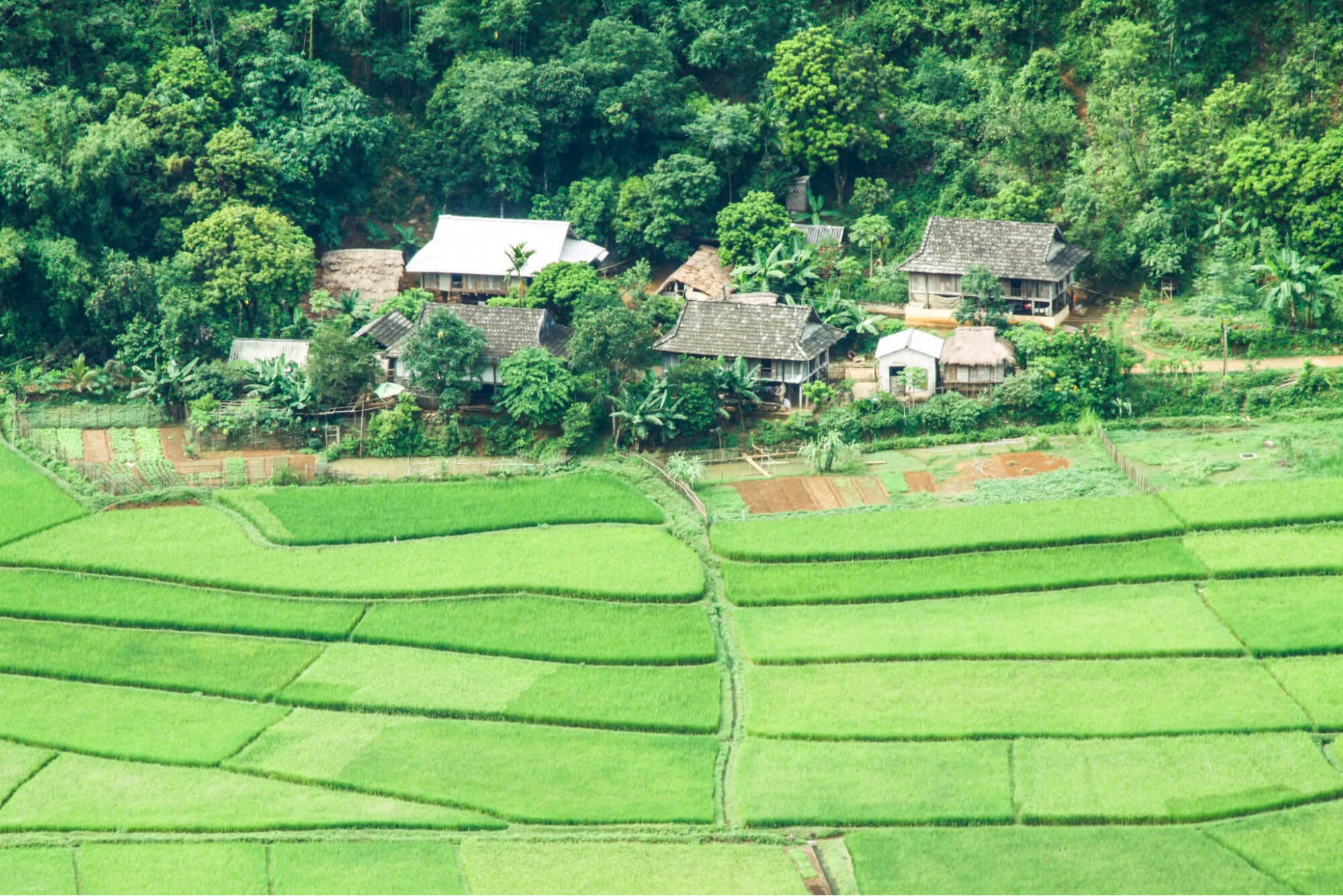 Bản Lác Mai Châu 