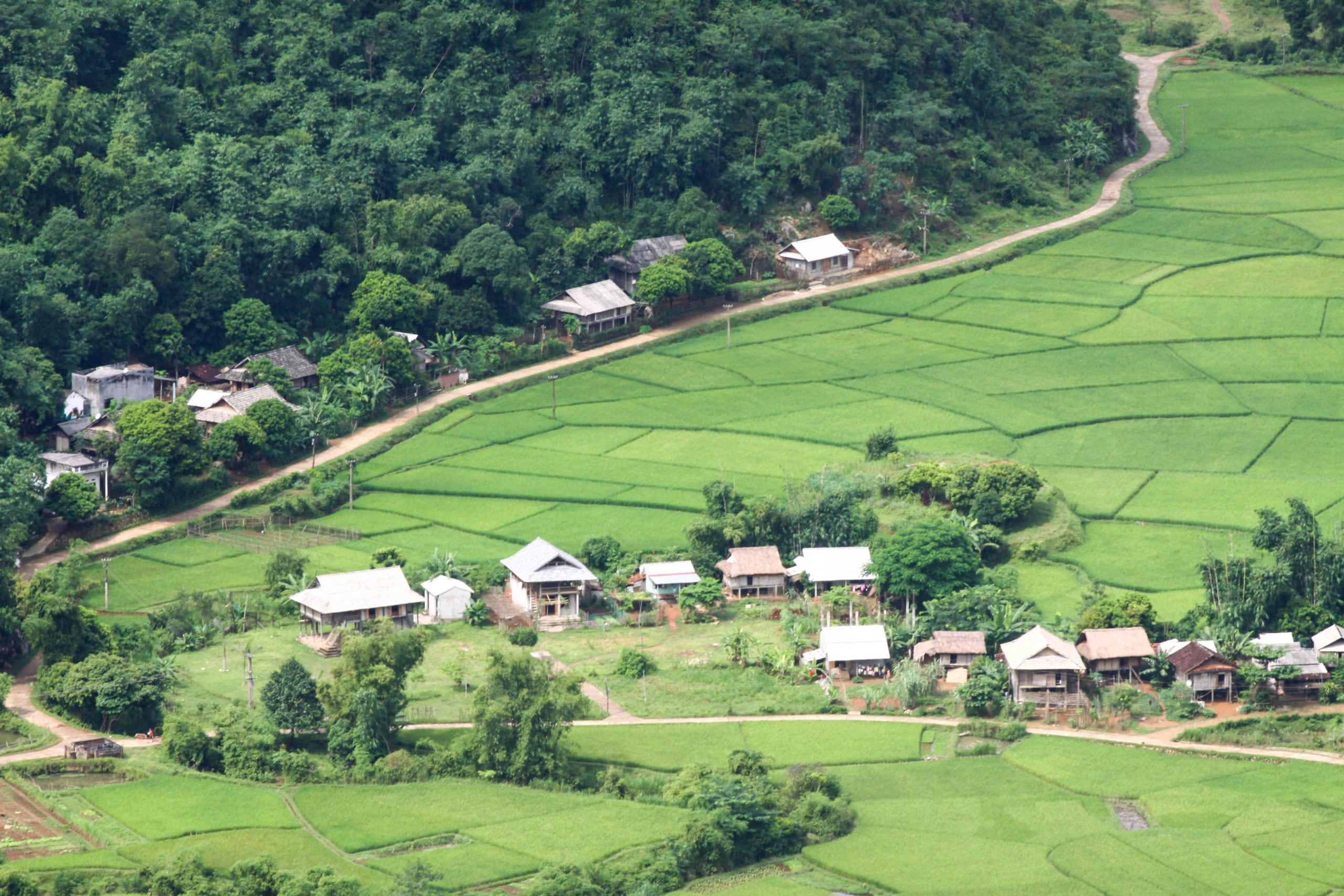 Bản Lác là một trong những bản làng nổi tiếng của người Thái (Nguồn: Mai Chau Hideaway Lake Resort)