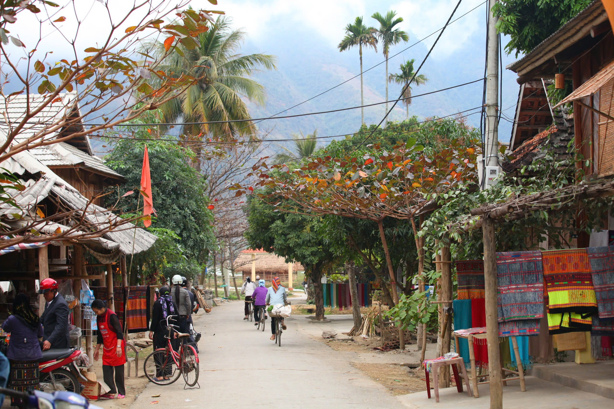 Lịch trình tour Mai Châu - Mộc Châu 4 ngày 3 đêm trải nghiệm văn hóa các dân tộc bản địa