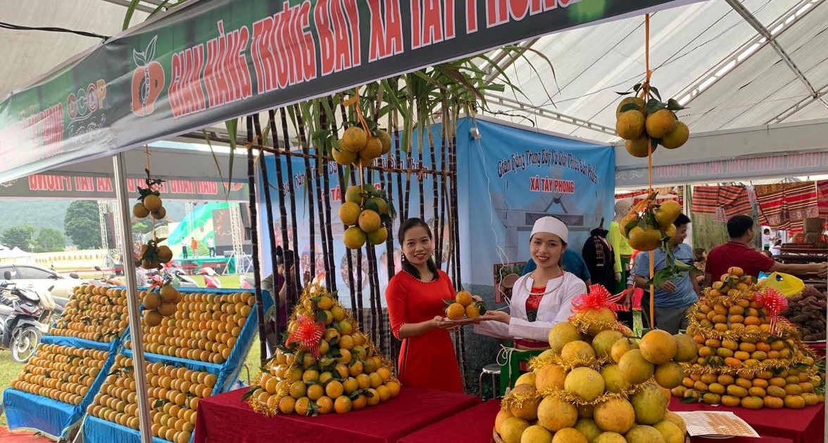 Lễ hội Cam Cao Phong có hơn 100 gian hàng của các xã và thị trấn trong huyện (Nguồn: Khu du lịch Quốc gia Hồ Hòa Bình)