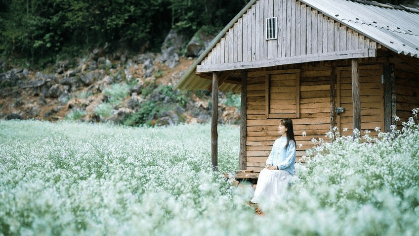 Vườn hoa ở Mai Châu