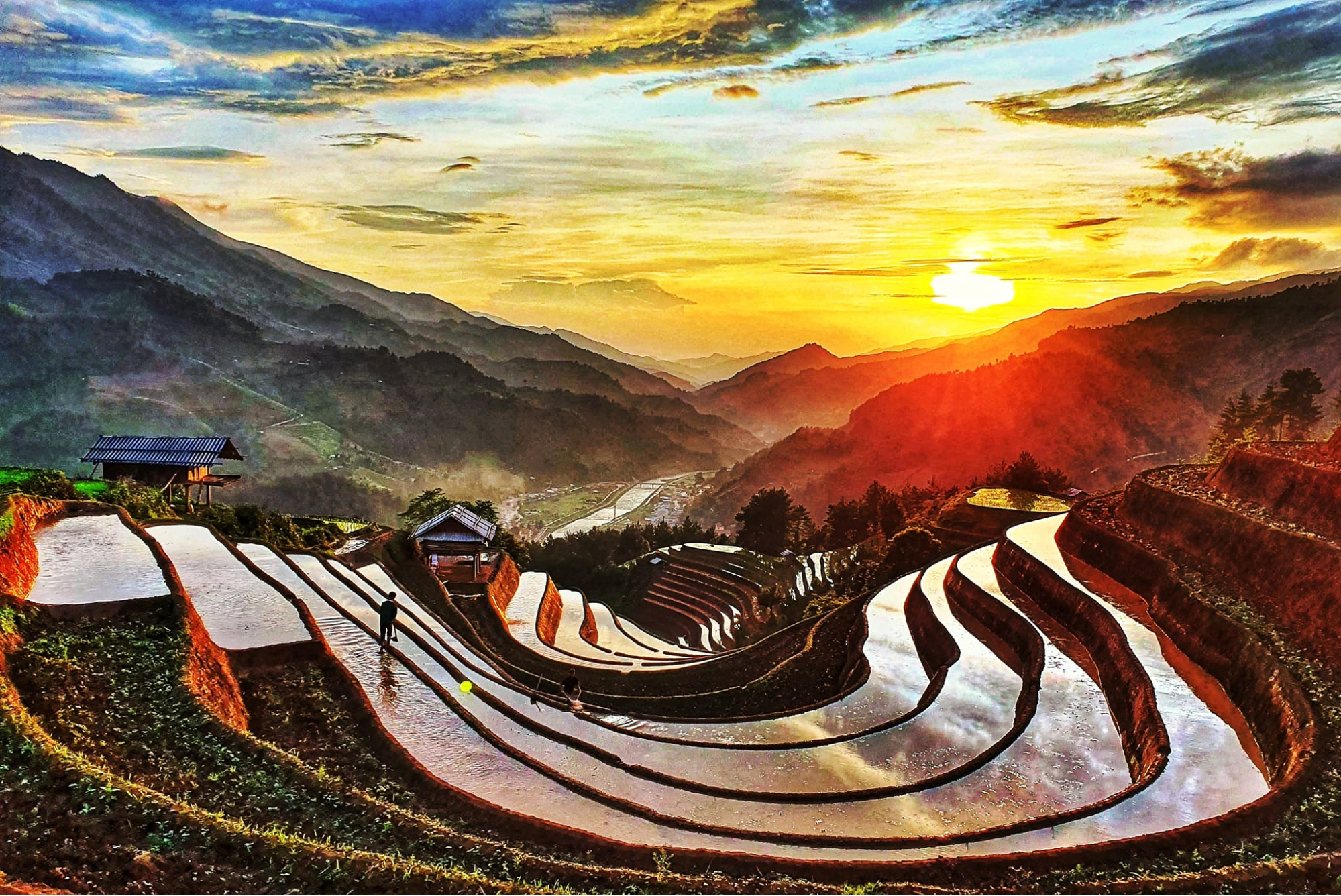 Mù Cang Chải tháng 6 như biến thành chiếc gương trời khổng lồ (nguồn: Thái An travel)