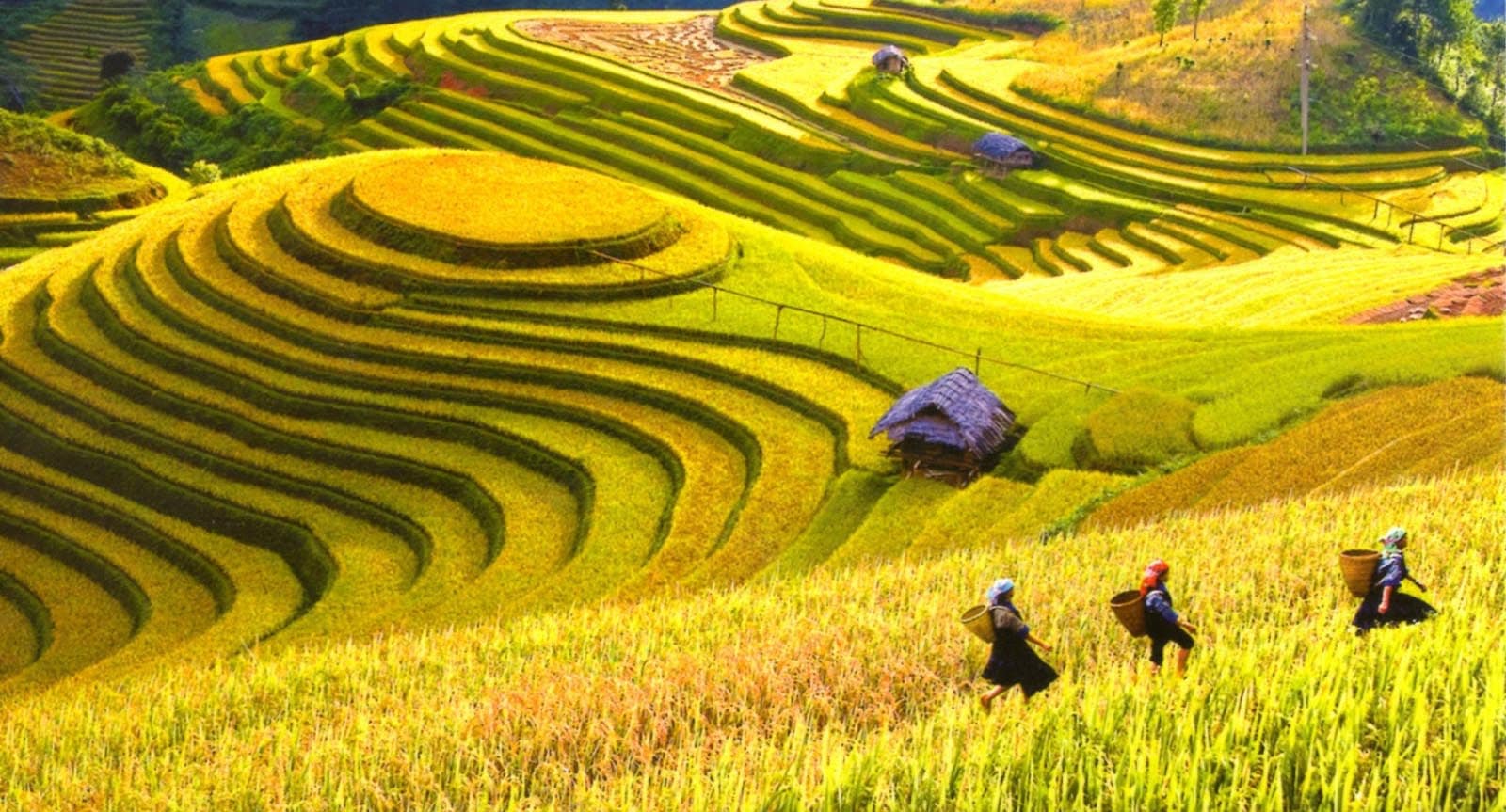 Đắm mình trong vẻ đẹp nguyên sơ của vùng đất này Đắm mình trong vẻ đẹp nguyên sơ của vùng đất này