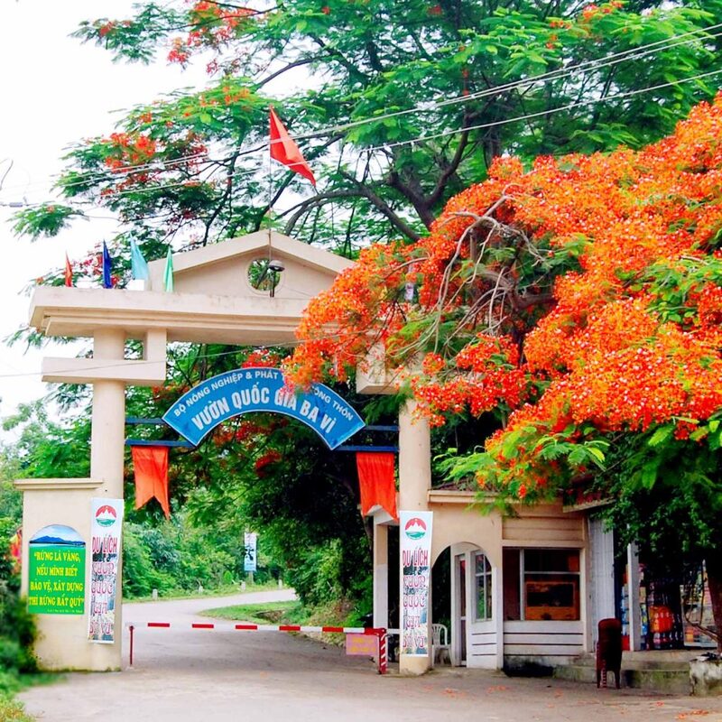 Vườn quốc gia Ba Vì  Vườn quốc gia Ba Vì