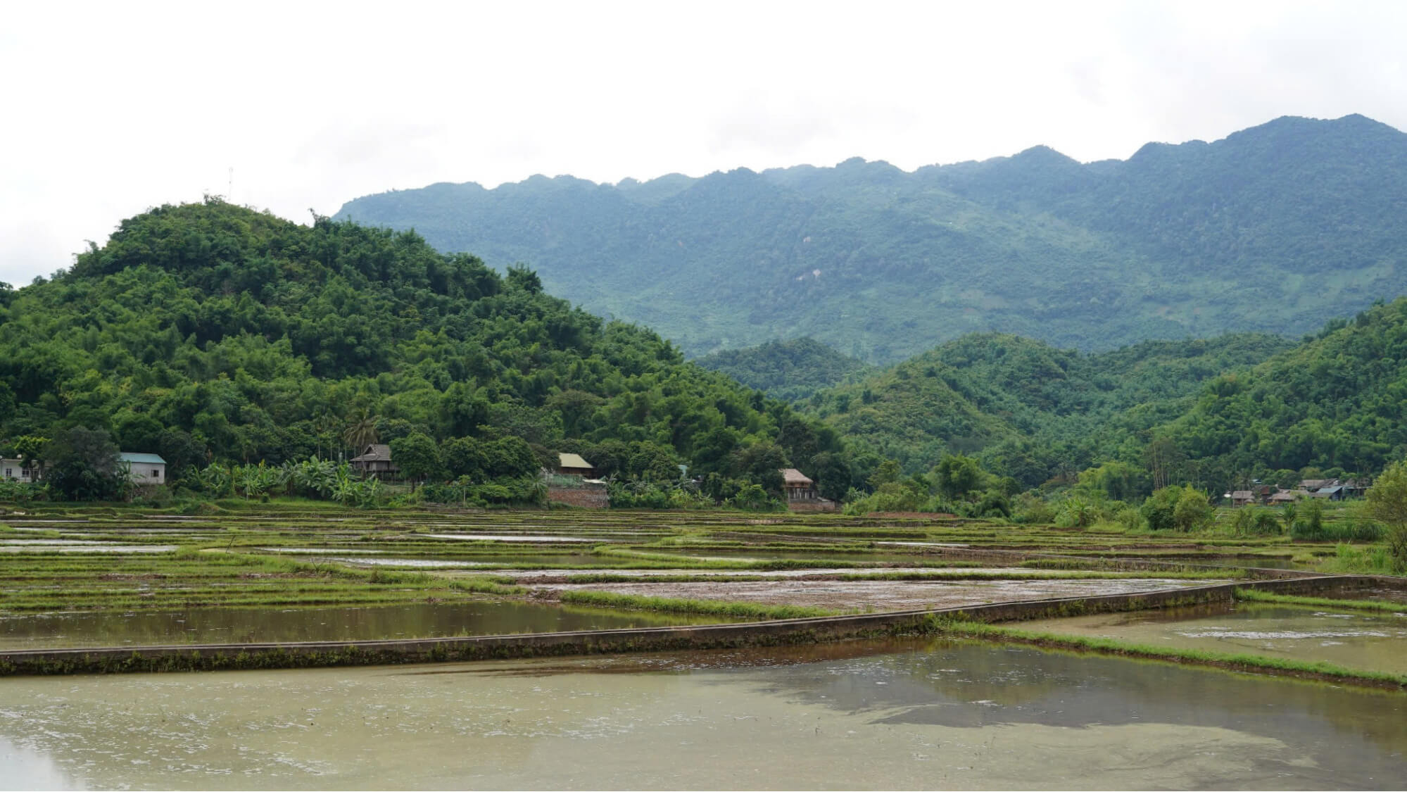 Thời điểm lý tưởng để tham quan Bản Nhót Mai Châu