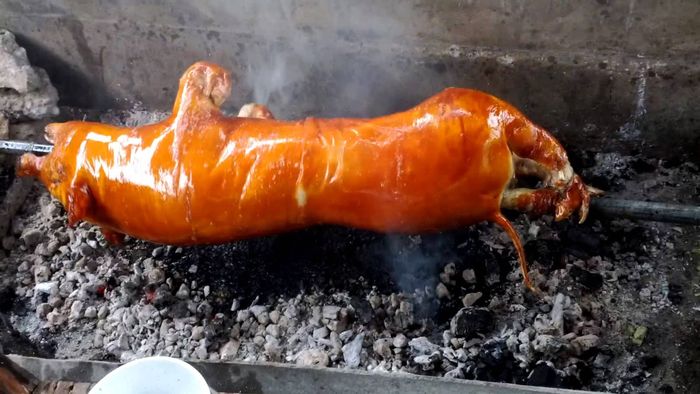 Lợn cắp nách nướng nguyên con Lợn cắp nách nướng nguyên con