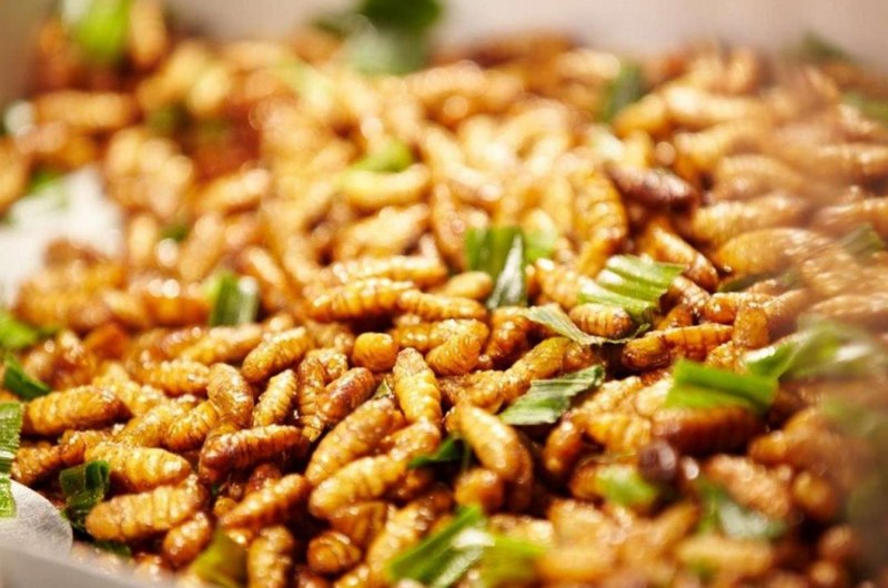 Nhộng ong rừng được xào với lá chanh Nhộng ong rừng được xào với lá chanh