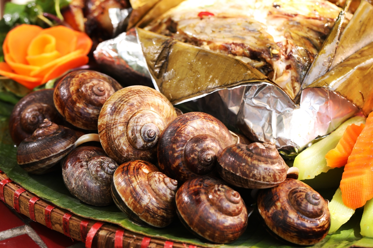 Ốc núi - Món đặc sản Mai Châu, Phú Thọ