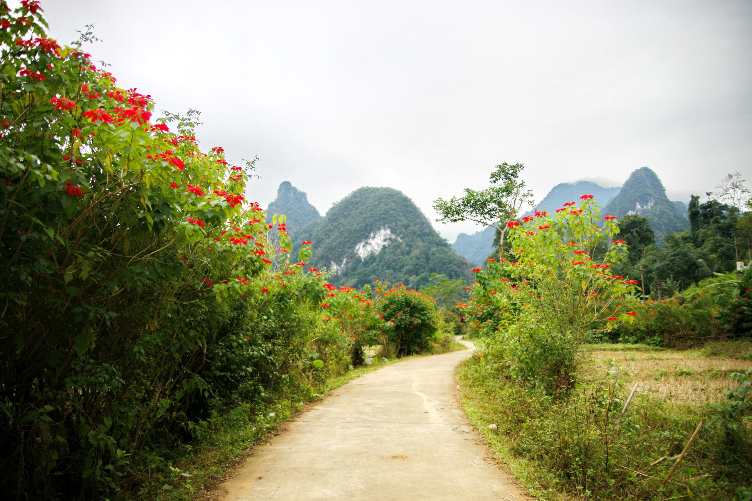 Trong tất cả các hoạt động, trekking gần như là cách rõ nhất để cảm nhận trọn vẹn vườn quốc gia Xuân Sơn